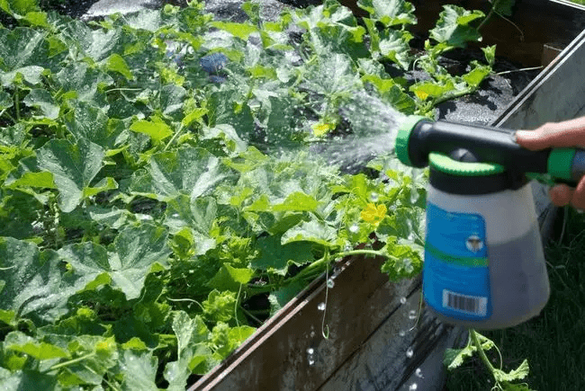 液體肥料消泡劑應(yīng)用場景圖