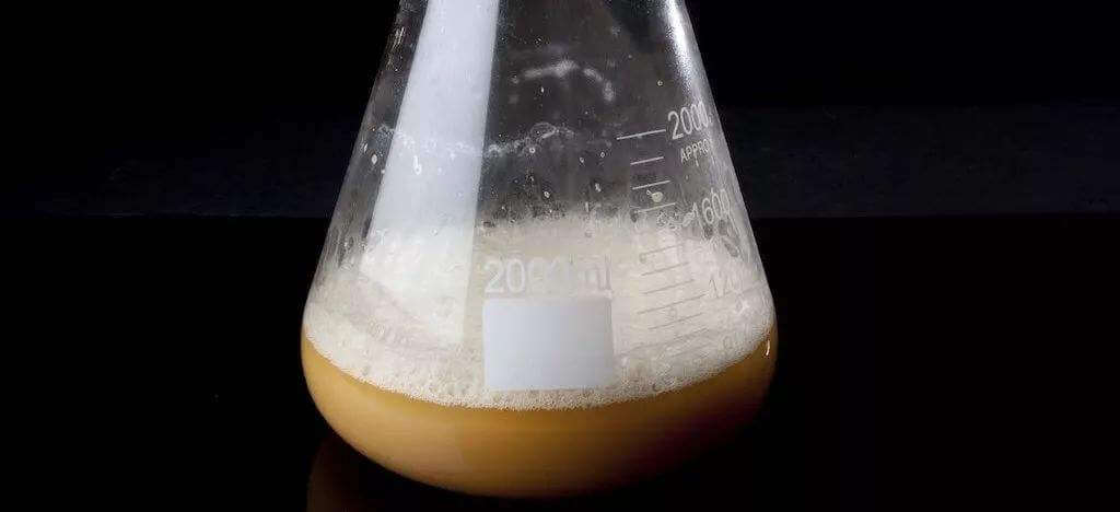 酵母發(fā)酵起泡是怎么回事，怎么處理這些泡沫？
